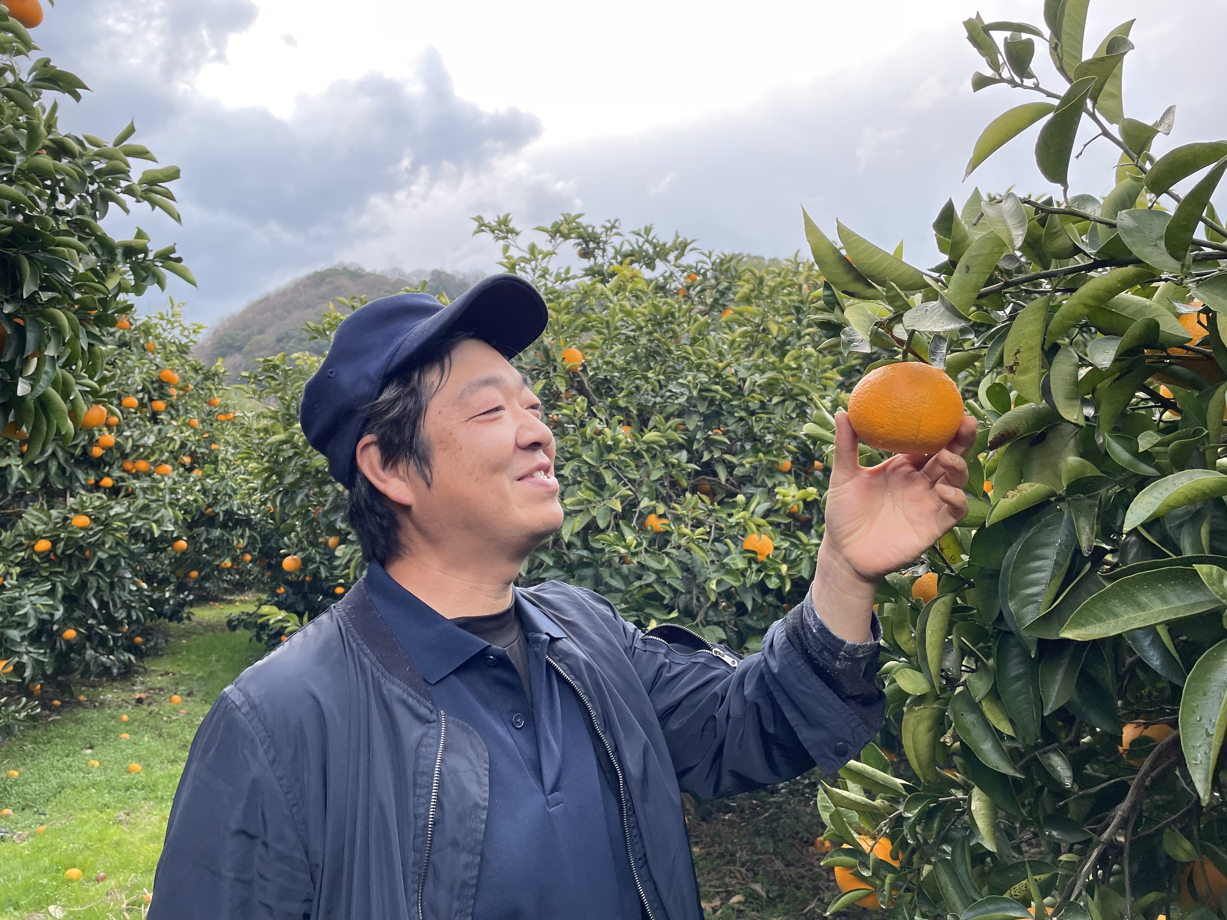 夏だけの極上果実】大崎上島産メロン「ミライノ夏」西田農園 - 産地