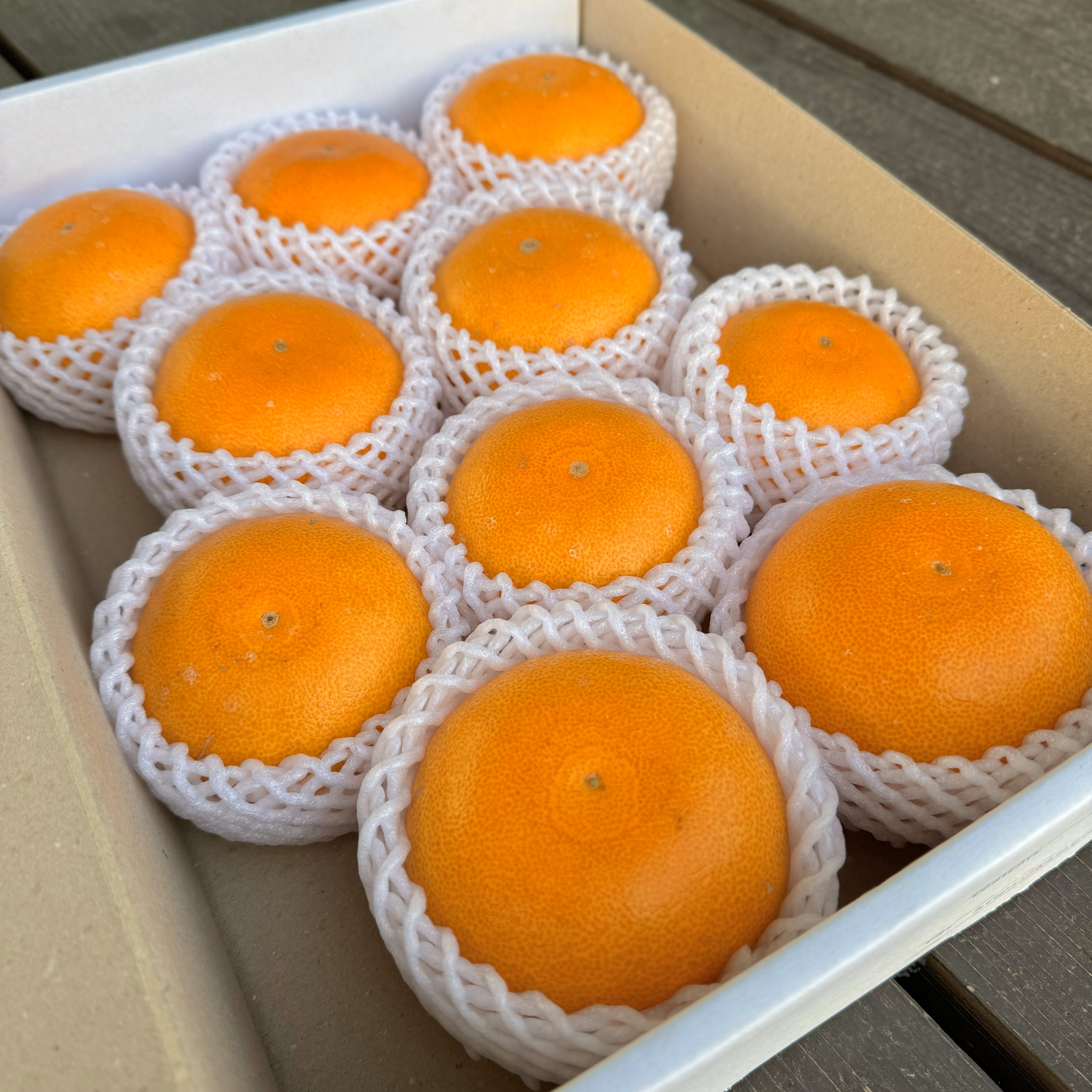 【贈答用・2月中旬発送】ハウス栽培せとか3キロ(9〜12個)のサムネイル画像_0