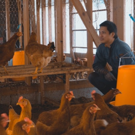 【地元の誇り】東広島こい地鶏・半身セット のサムネイル画像_3