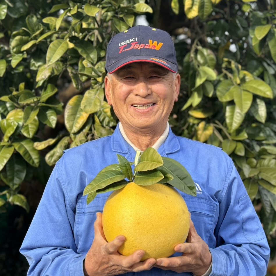 【希少品種】晩白柚・香り豊かで食べ応え抜群（家庭用）のサムネイル画像_1