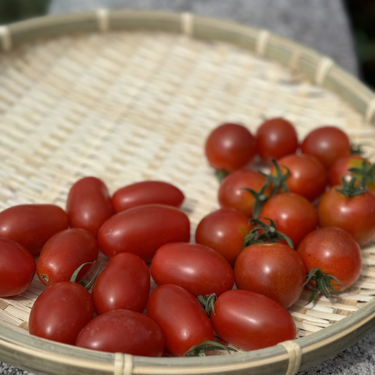 Thumbnail of 【お試し】ミニトマト食べ比べ（各200g×2）