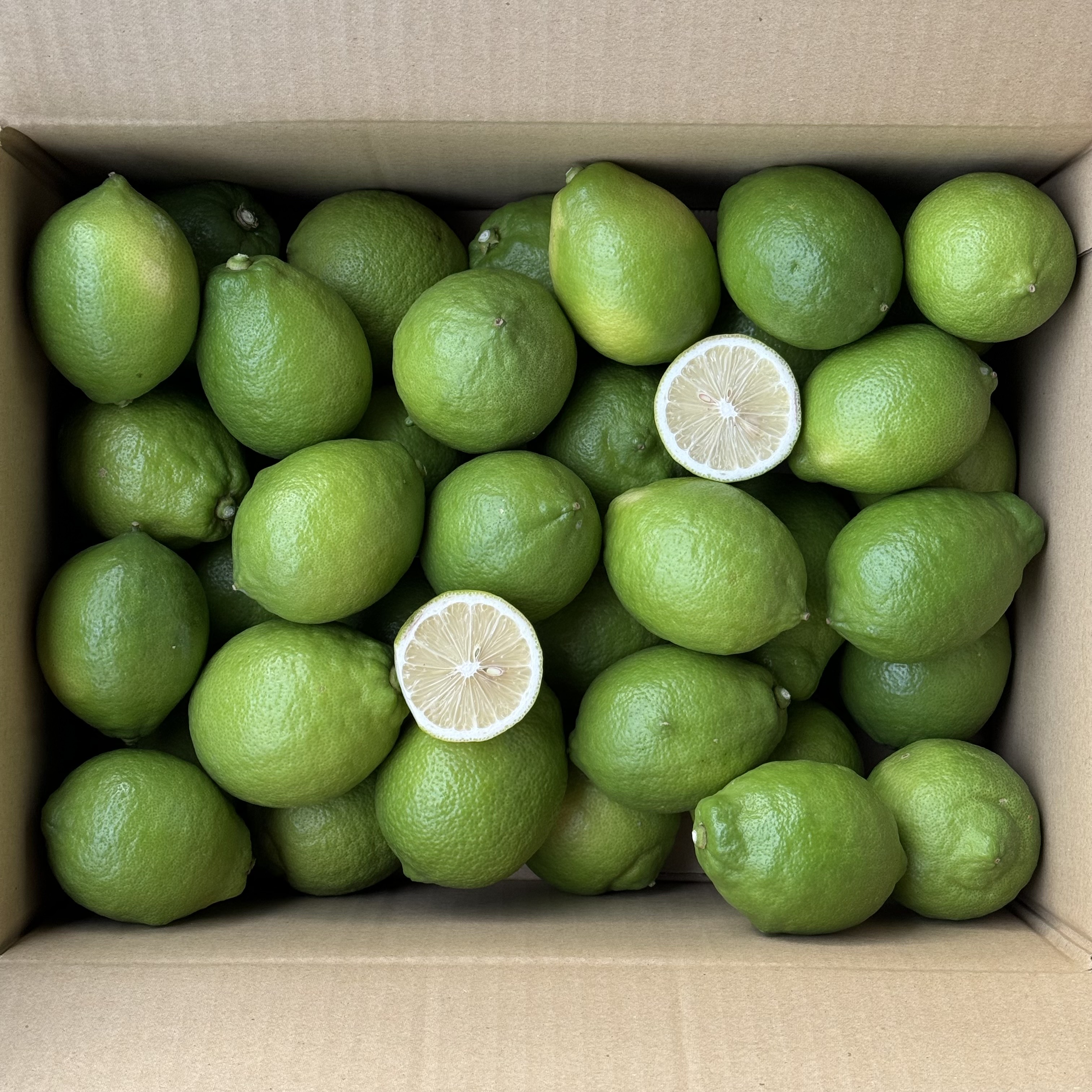 安芸津産グリーンレモン5キロのサムネイル画像_0