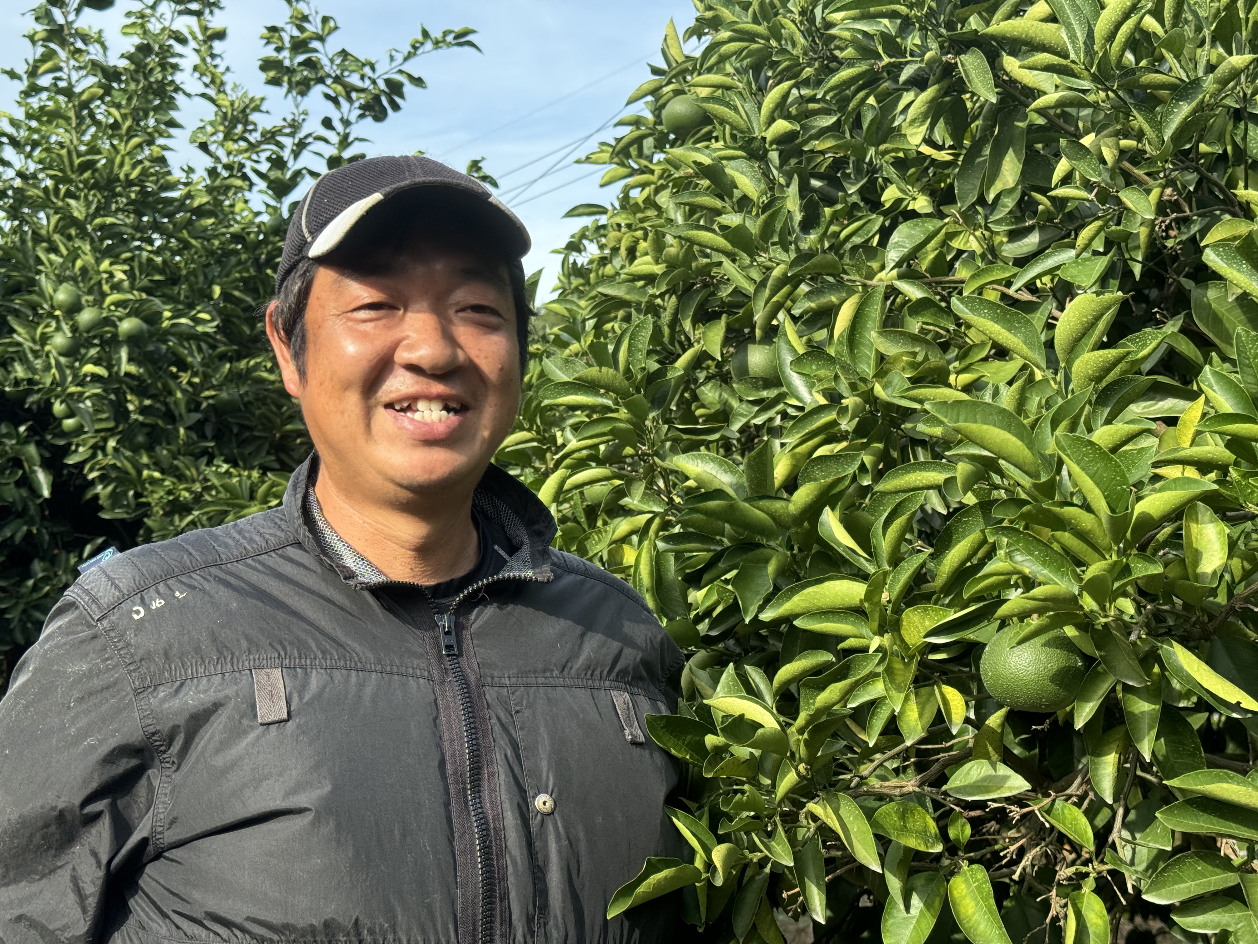 【特選贈答品】大崎上島産　完熟紅八朔　4キロ」のサムネイル画像_3