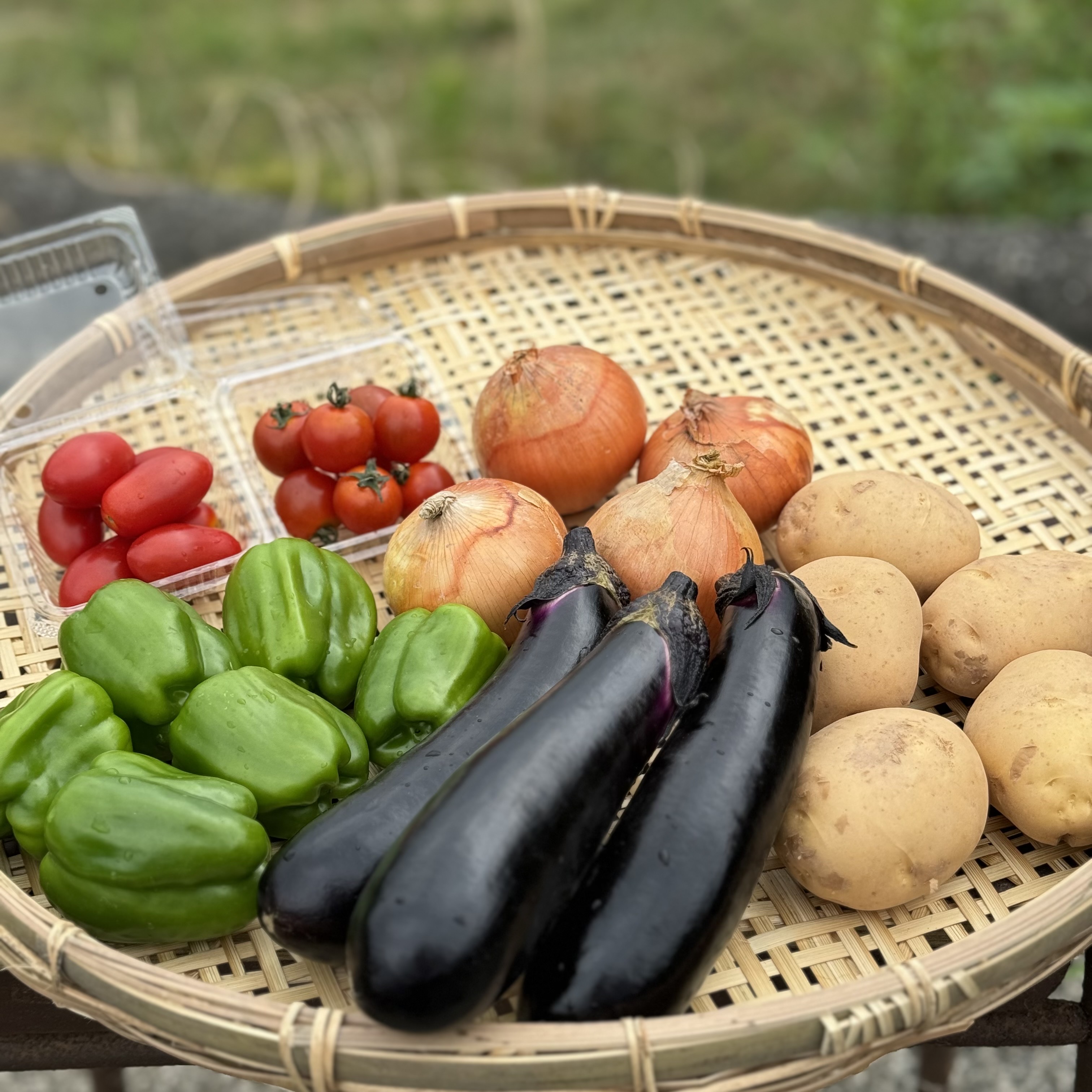 レモ兄セレクト!東広島の旬・夏野菜BBQセット(5〜6種)のサムネイル画像
