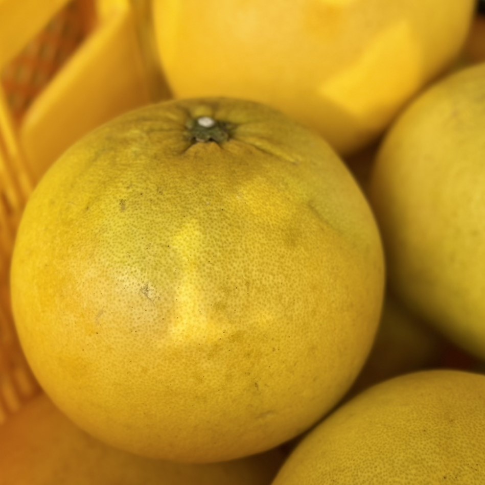 【希少品種】晩白柚・香り豊かで食べ応え抜群(家庭用)のサムネイル画像