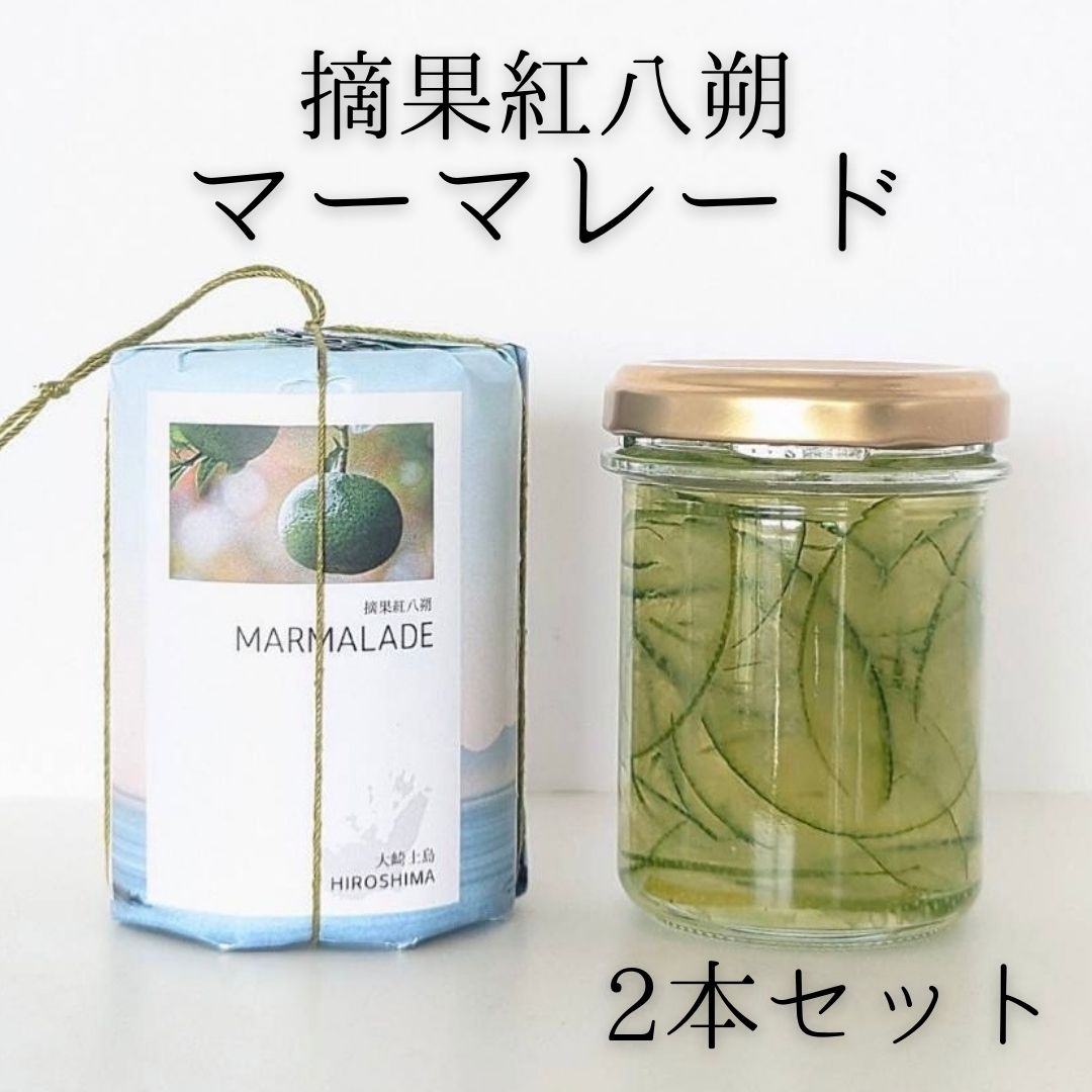 【島の新特産品】摘果紅八朔マーマレード　100g×2本セットのサムネイル画像