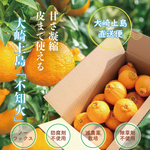 【甘さの爆弾!】大崎上島産 不知火 4キロ(1キロ4約玉前後)のサムネイル画像