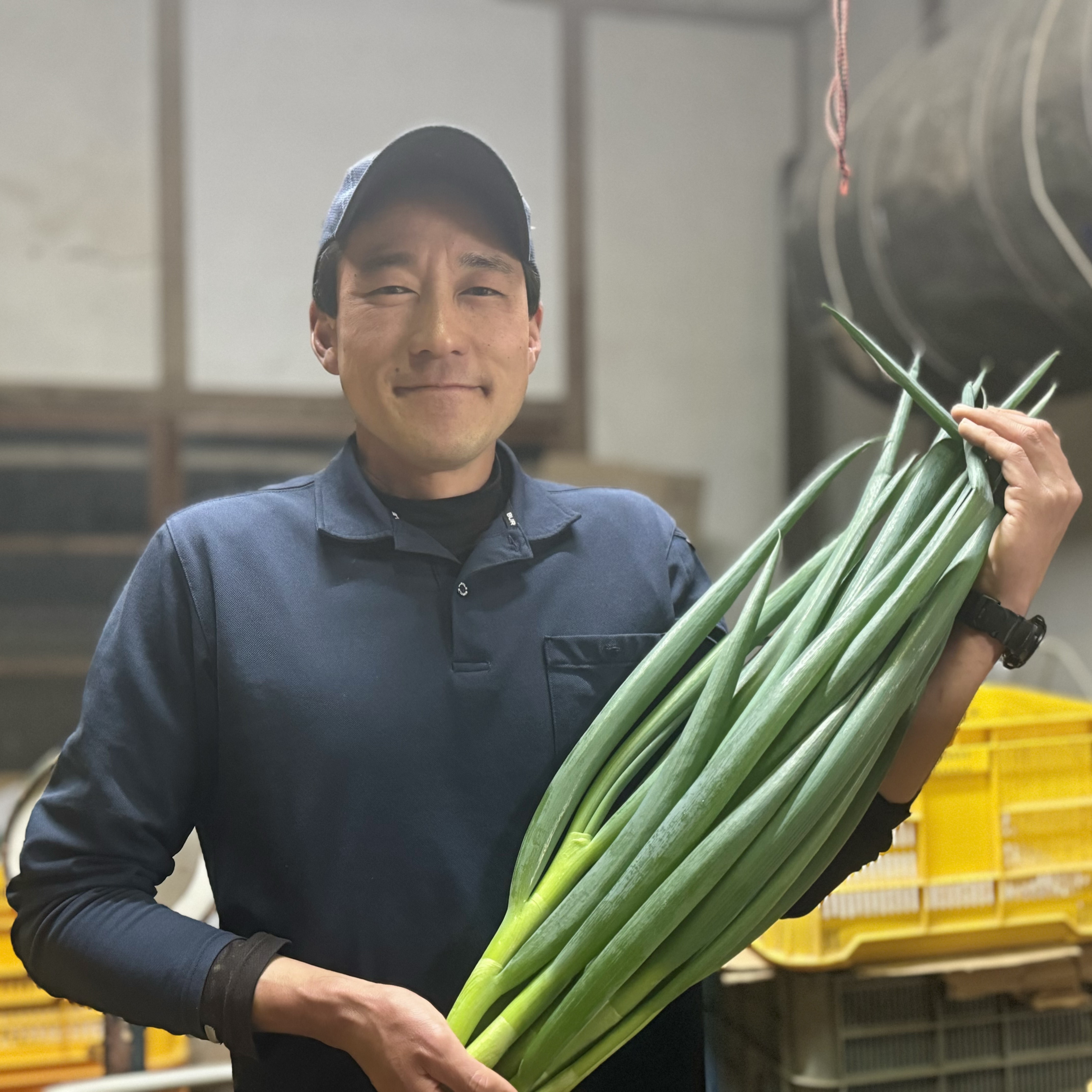 飲食店向け】瀬戸内・青ネギ5キロ - 産地直送のお取り寄せ通販【ふる