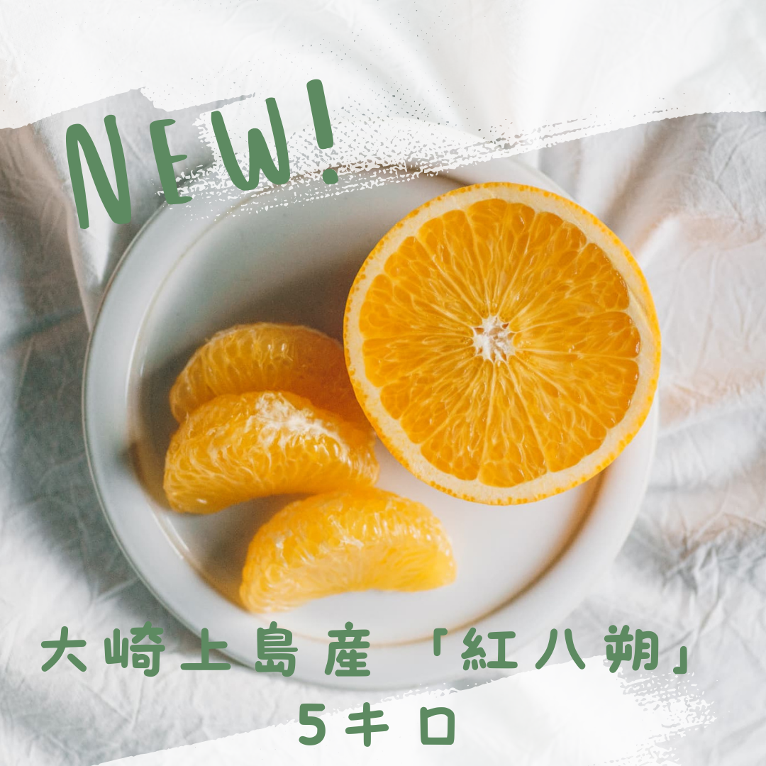 【クセになる食感!】大崎上島産 紅八朔 5キロ(1キロ約4玉前後)のサムネイル画像