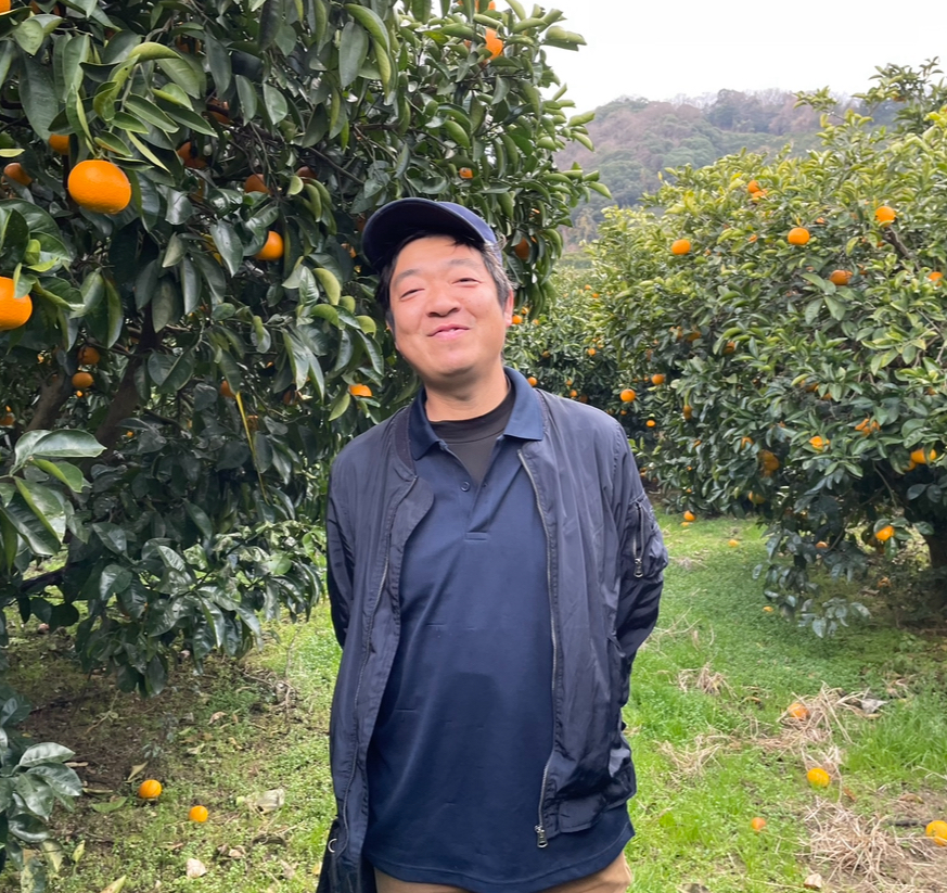 メロン 特選】IRODORI 最高級緑肉メロン1玉入(送料込)12月下旬お届け ※1玉1.4