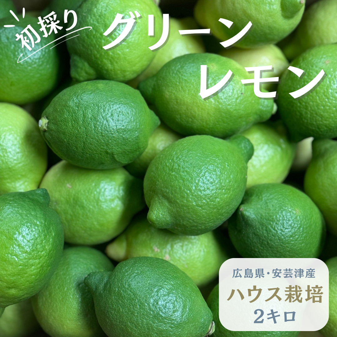 Thumbnail of 【初採り】安芸津産グリーンレモン２キロ