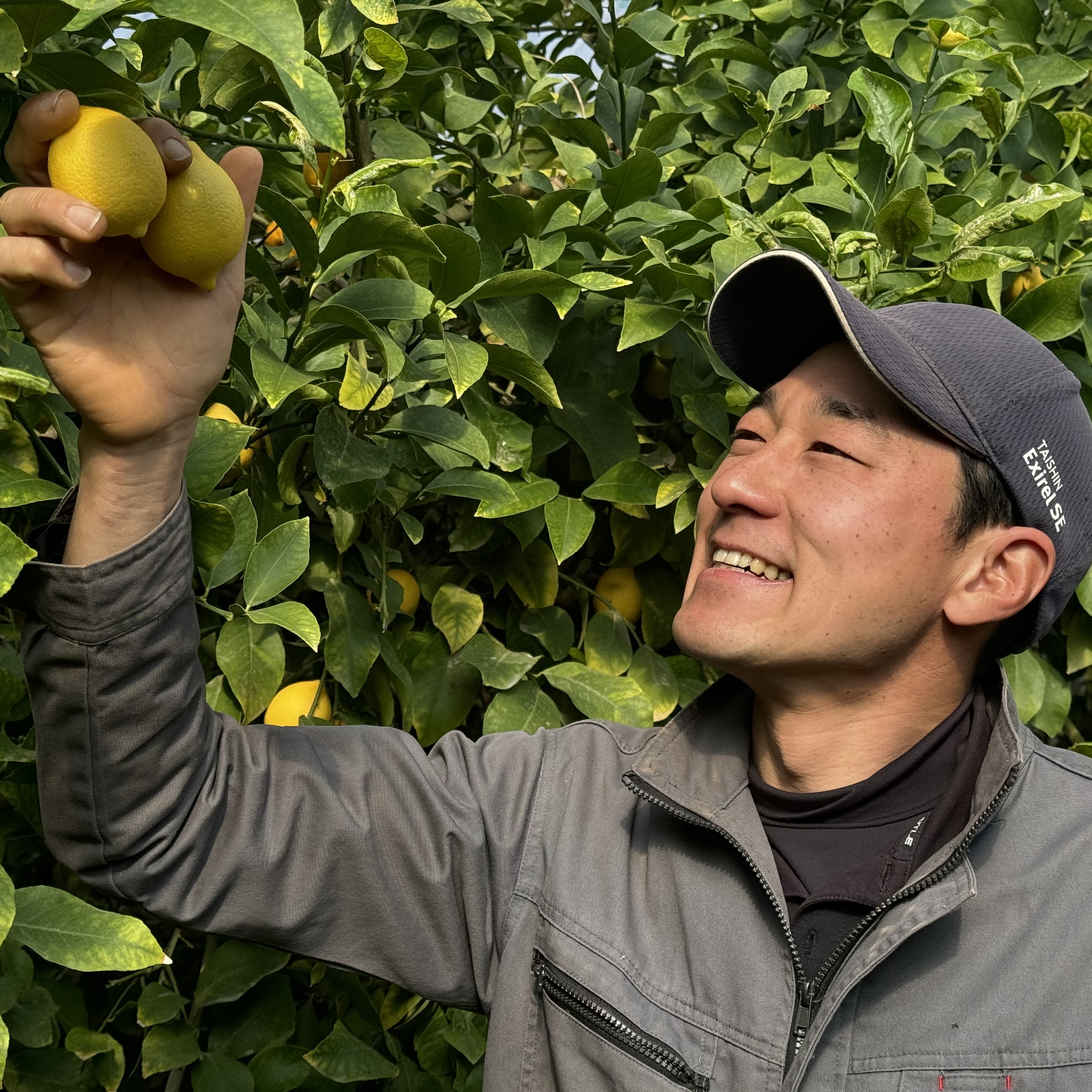 【まずはお試し】訳あり家庭用レモン・2kg(15～20個)のサムネイル画像_2